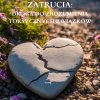 MIŁOŚC BEZ ZATRUCIA Miłość Bez Zatrucia.Droga Do Zrozumienia Toksycznych Związków